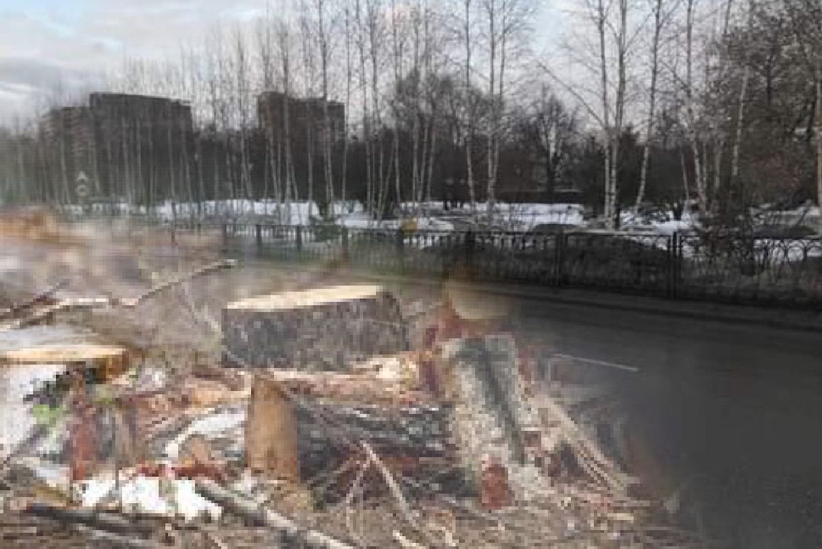 Жители Фили-Давыдково опасаются вырубки сквера из-за строительства транспортной развязки
