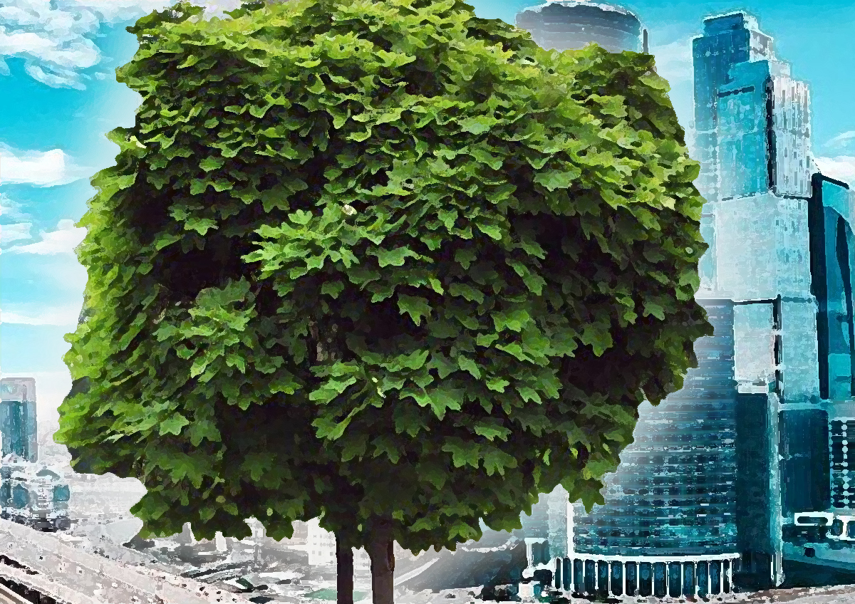 В Департаменте природопользования назвали количество деревьев, высаженных в Москве в 2021 году