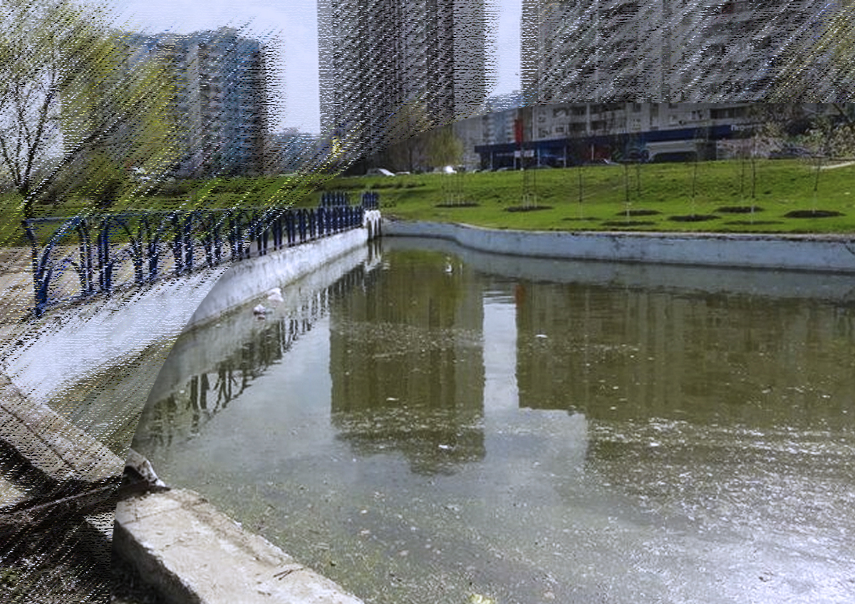 «Классный проект» по благоустройству прудов-регуляторов представили в Марьино