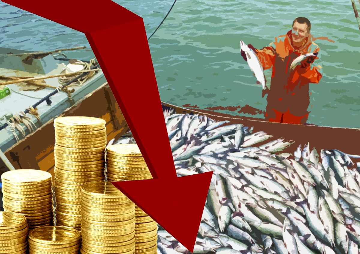 В Приморье назвали парадоксом снижение цен на рыбу в России, несмотря на рекордный улов