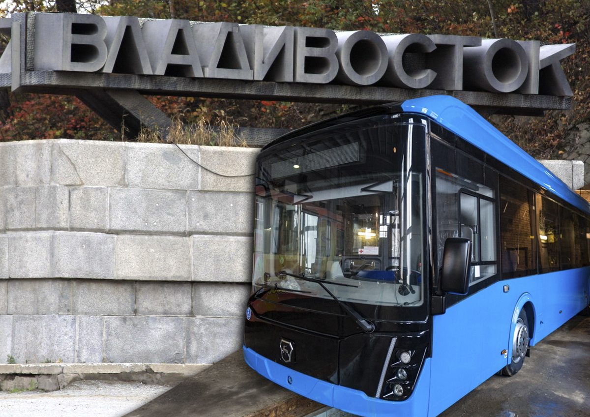 Необычный для Приморья вид общественного транспорта хотят ввести во Владивостоке