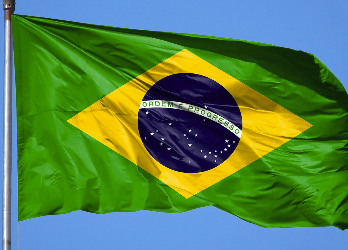 Политолог Егоров назвал основную причину, тормозящую экономическое взаимодействие между РФ и Бразилией