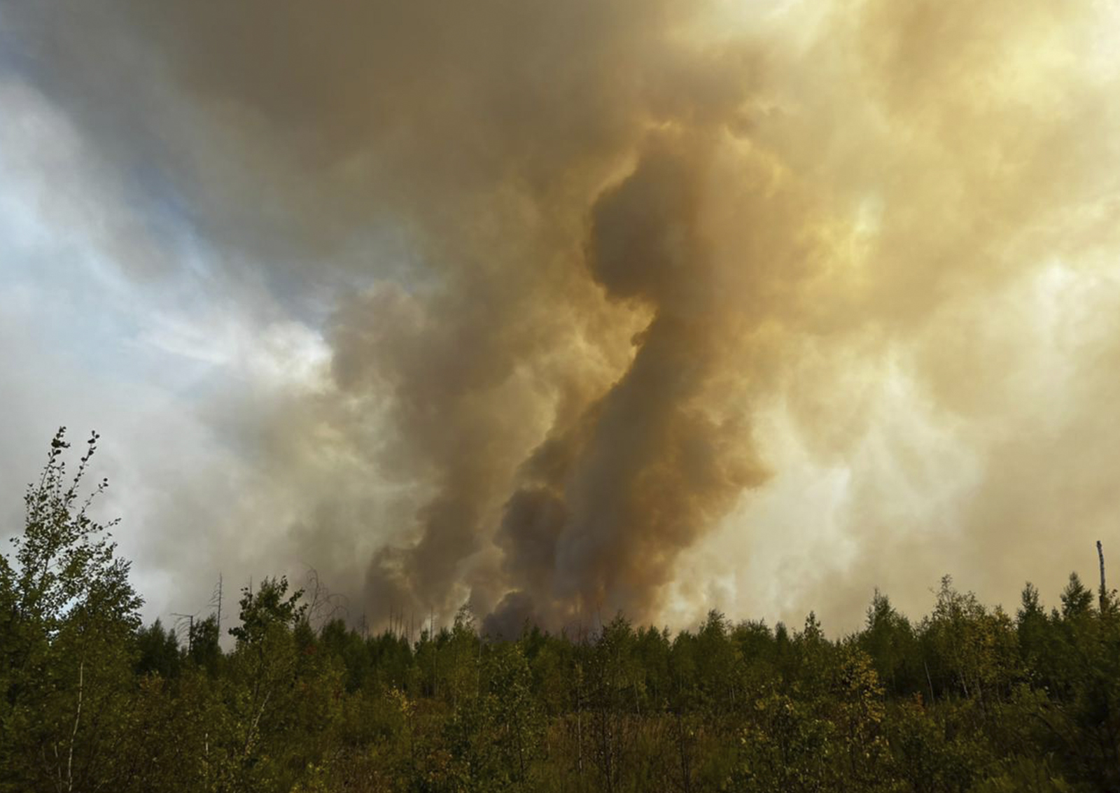 Вступил в силу новый порядок борьбы с лесными пожарами