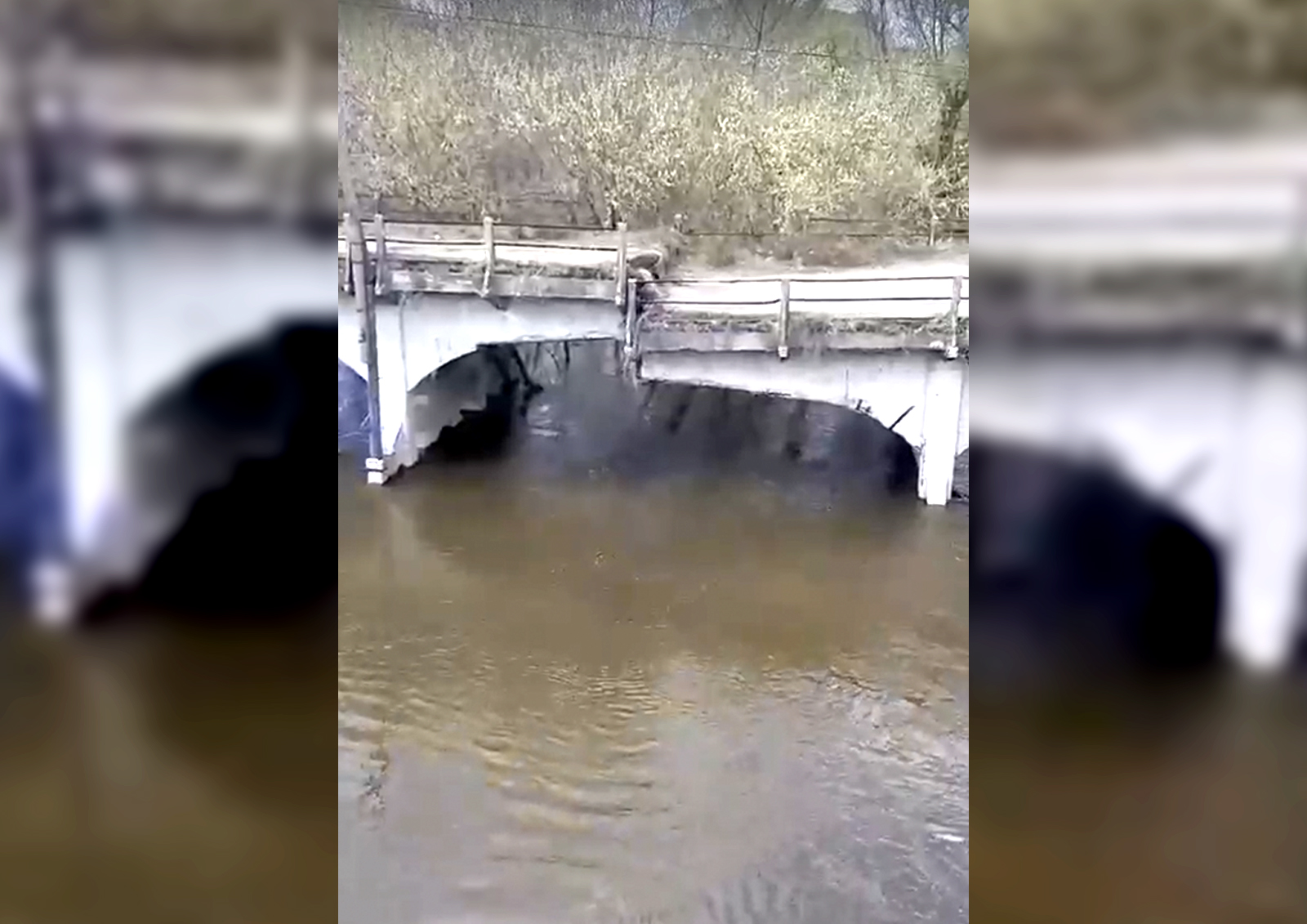В Тамбовской области из-за мусора уже рухнул мост